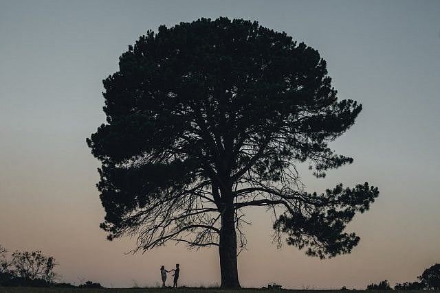 Adam Levi Browne Mosman Park Portrait and Joondalup engagement shoot