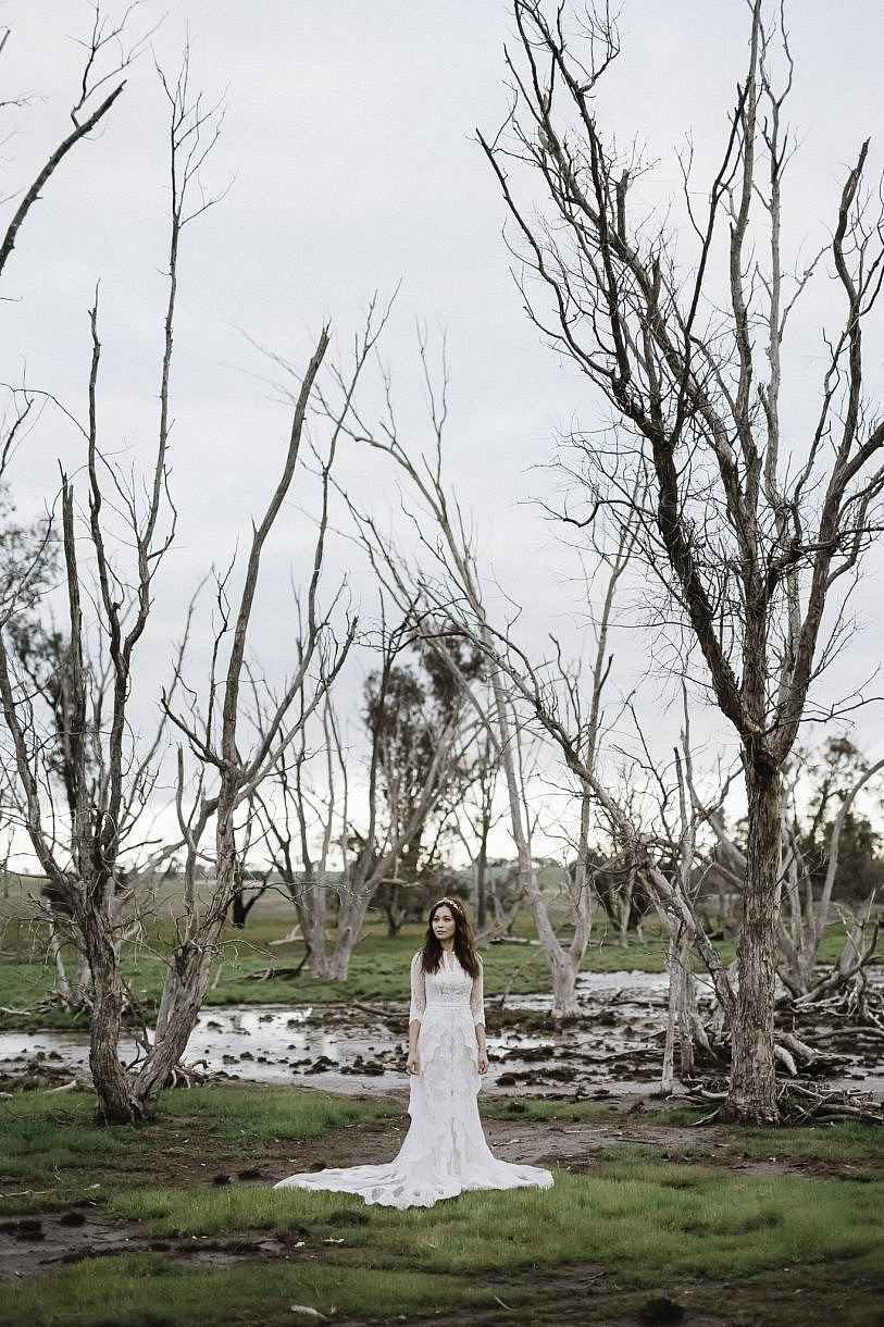 Adam Levi Browne Portrait and Wedding Photography paddock of petrified trees