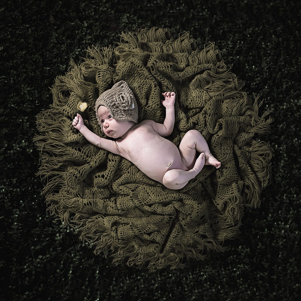Adam Levi Browne Family Newborn Portrait and Wedding Photography