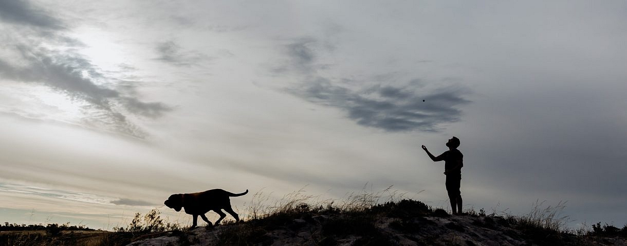 Adam Levi Browne Portrait and Wedding Photography Lifestyle Pet Photographer