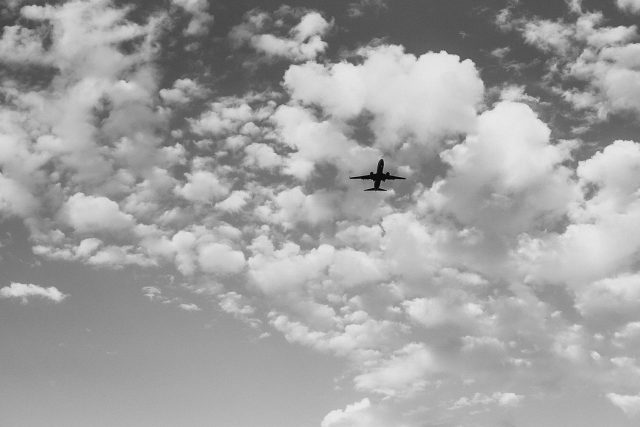 Plane Wedding Picture