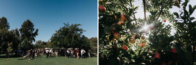 Core Cider House Wedding Photographer