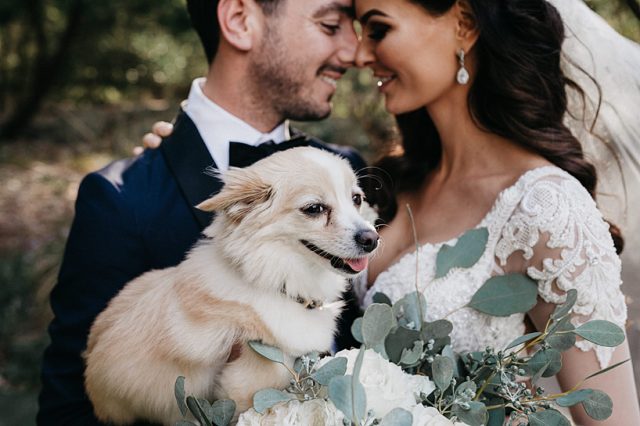 319 Dog Wedding Ceremony Perth Ashleigh Jade