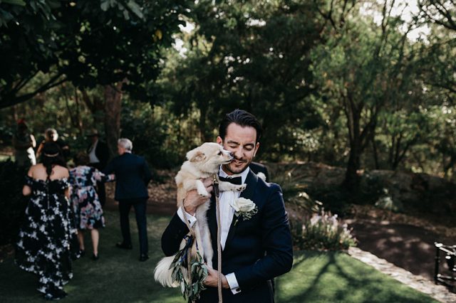 320 Dog Wedding Ceremony Perth Ashleigh Jade