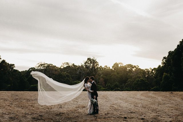 331 Bride Veil Pallas Couture Wind Field Ashleigh Jade